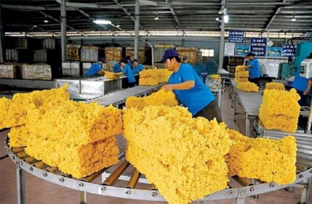 Xuất khẩu cao su vẫn duy trì được mức giá cao